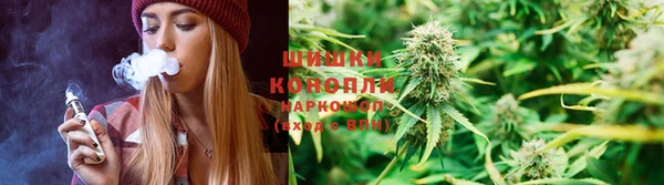 трава Новодвинск